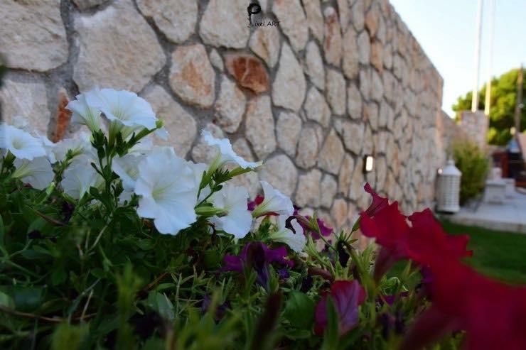 Sofelia Home Σταυρός Εξωτερικό φωτογραφία